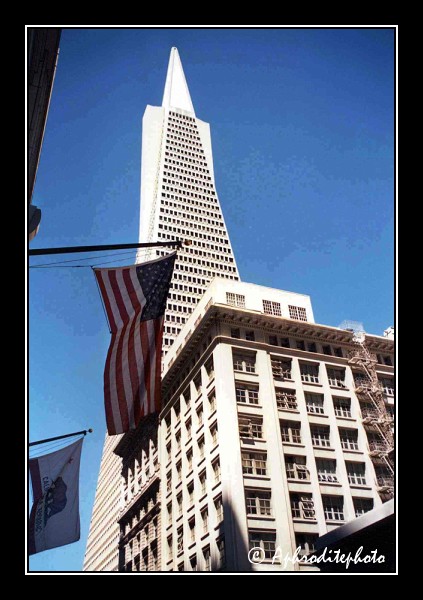 Transamerica Pyramid building